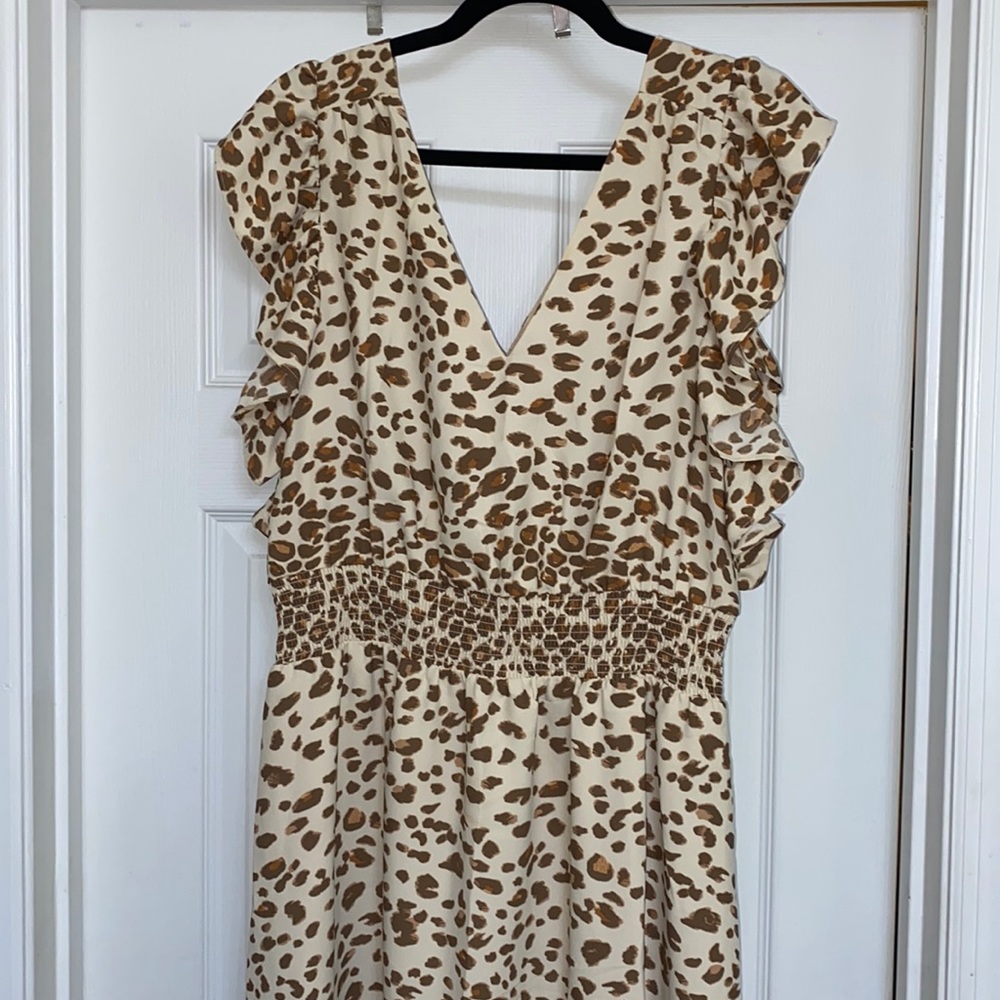 Express Maxi